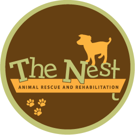 nest logo